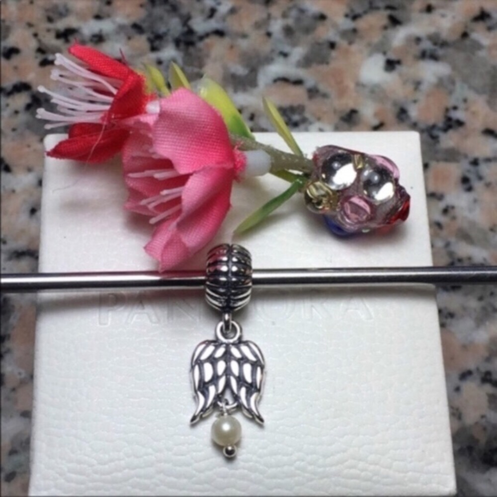 Pandora charm angle wings..